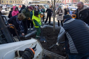 На площади Восстания у Московского вокзала высадили девять лип